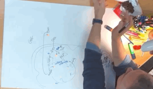 Jan-10-2019 17-55-41.gif