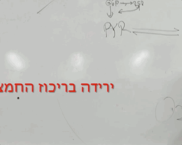 Nov-05-2022 09-07-53.gif