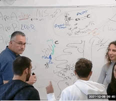 Dec-09-2021 16-51-36.gif