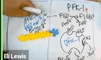 Oct-22-2020 10-15-26.gif