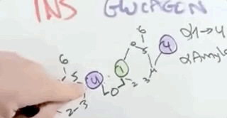 Nov-23-2020 10-37-41.gif