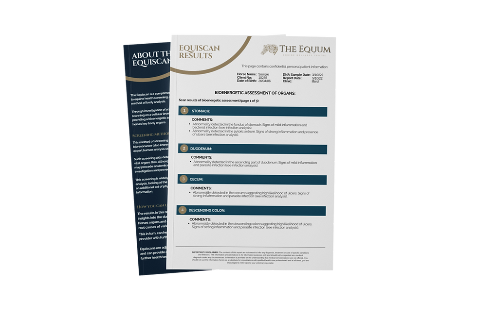 Thumbnail: Equiscan - Gut Ulcer Risk Test Product Image