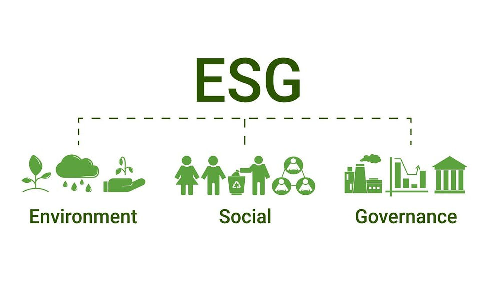 ESG Environment Social Governance