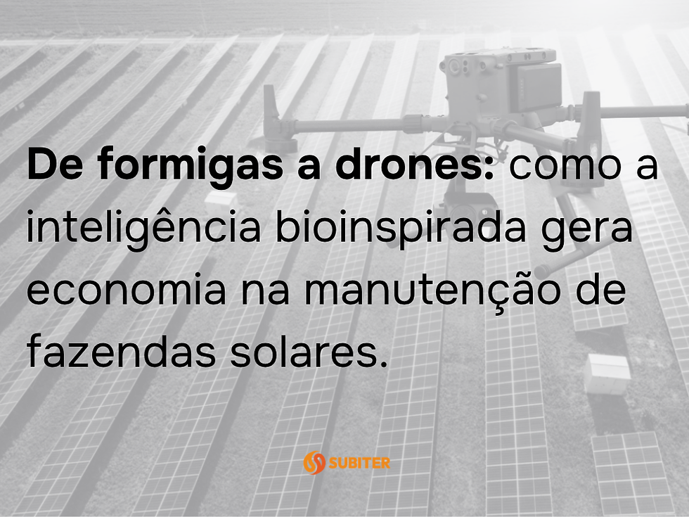 De formigas a drones: como a inteligência bioinspirada gera economia na manutenção de fazendas solares