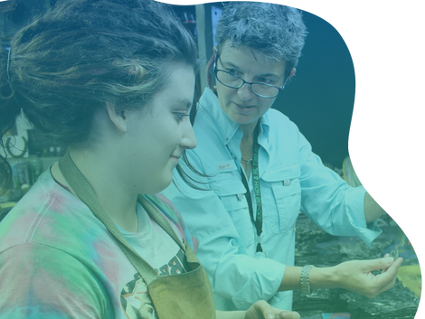 Tips and Tricks: Great Adaptive Questions to Use for Mentor Feedback