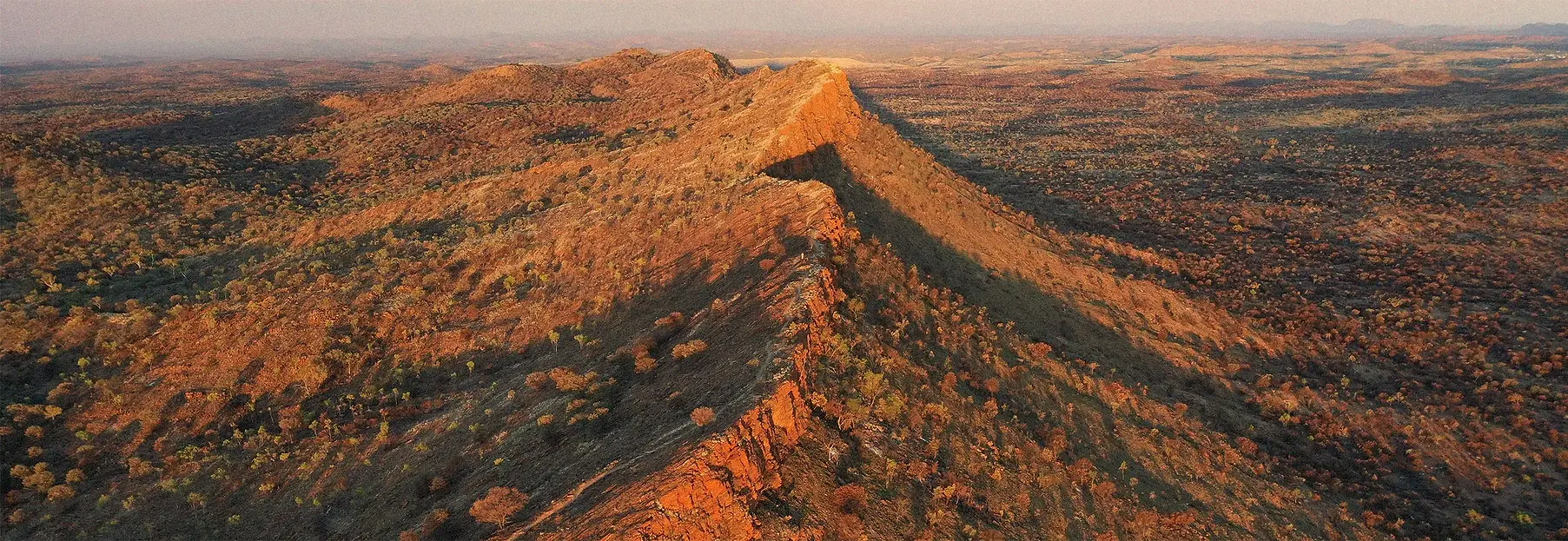 ltts-wix-2023-s1 copy.webp