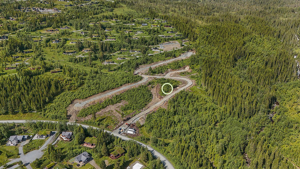 NETT_Oversiktsbilde 6_(c).jpg