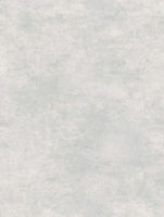 ESSENTIAL WALL (BP2037)