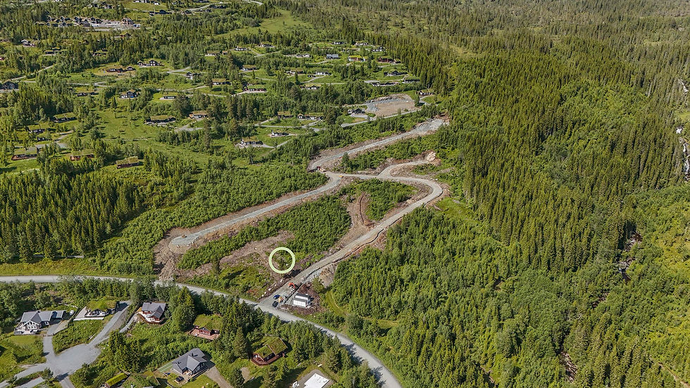 NETT_Oversiktsbilde 6_(c).jpg