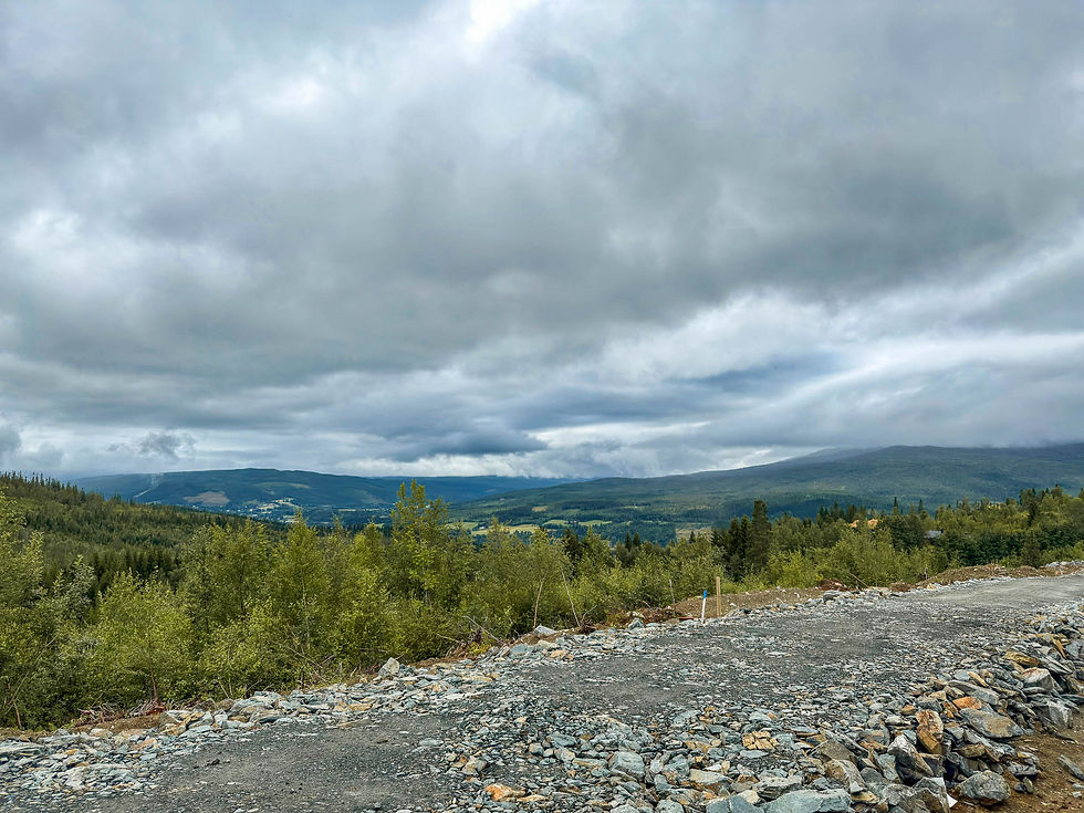 NETT_Oversiktsbilde 6_(c).jpg