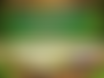 🍀 Community Dinner Night is almost here!🍀