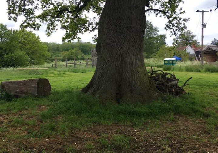 Great Glemham.jpeg