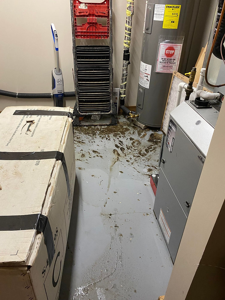 Do you think a Working Septic Tank Never Needs to be Pumped?