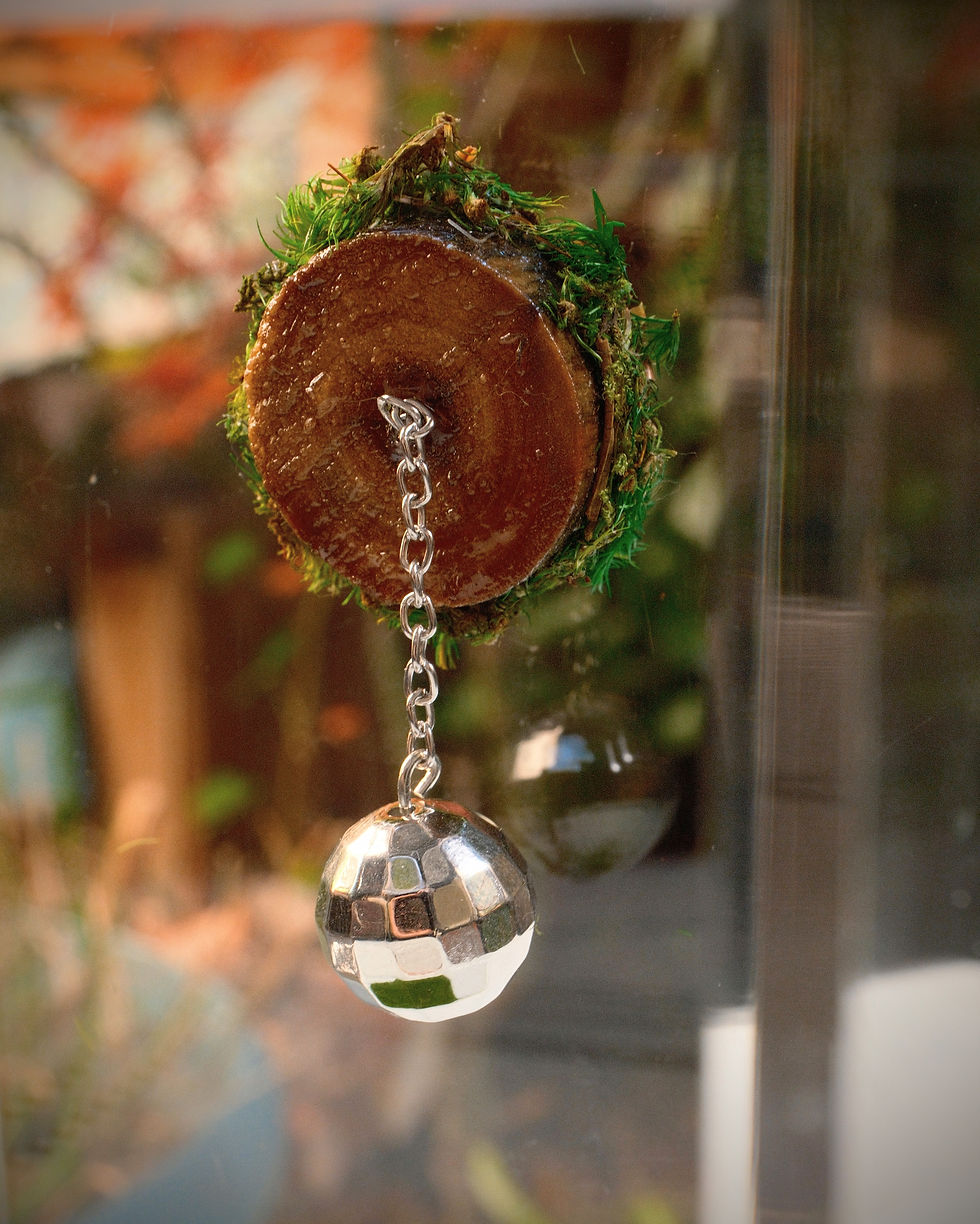 Disco Ball Chandelier - Fun Magnetic Decor - Jumping Spider Home