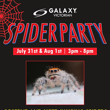 Victorian_SpiderParty-Social-1080x1350.jpg