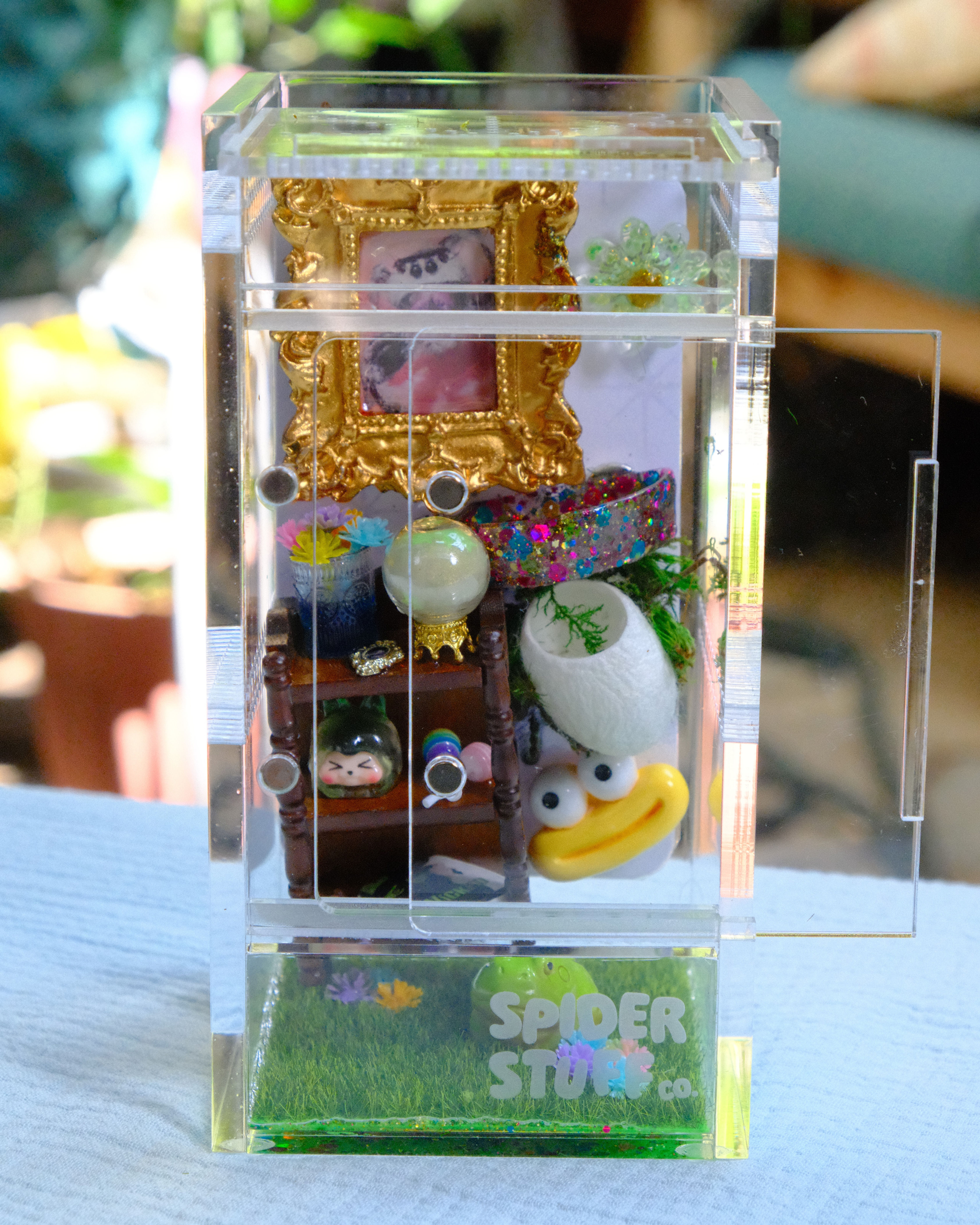 Mystical jumping spider enclosure with crystal ball and golden portrait frame