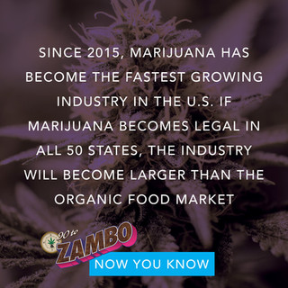 90 TO ZAMBO-weed-saying-weed-quote 49.jpeg