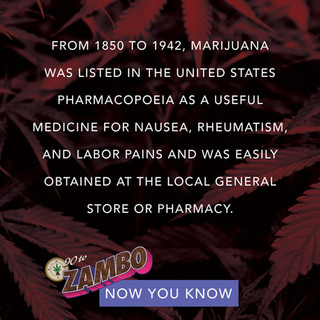 90 TO ZAMBO-weed-saying-weed-quote 42.jpeg