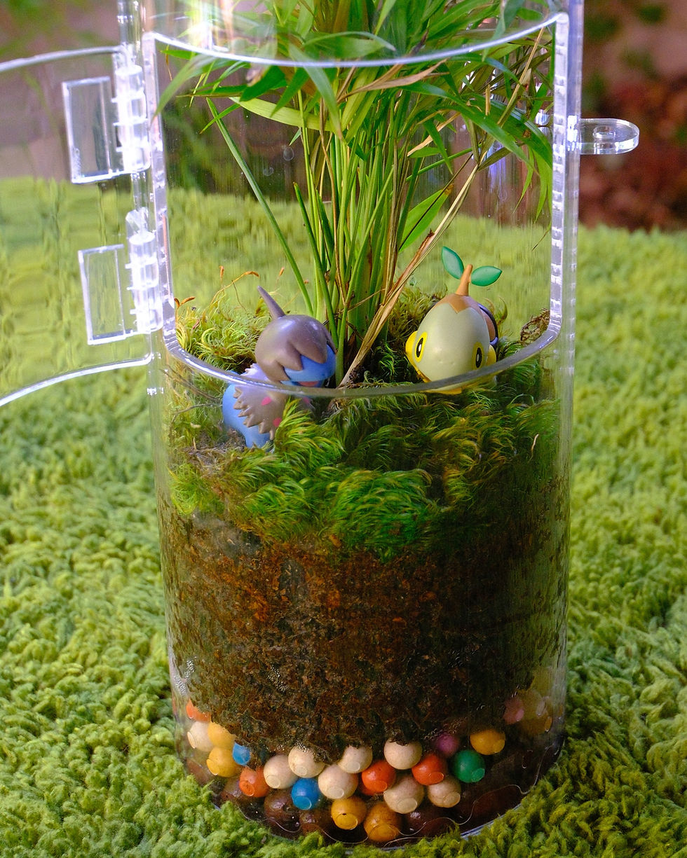 Thumbnail: Bioactive Turtwig and Deino Tower Enclosure (4" round x12" tall)