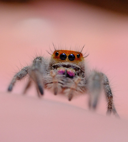 DSCF4393.JPG