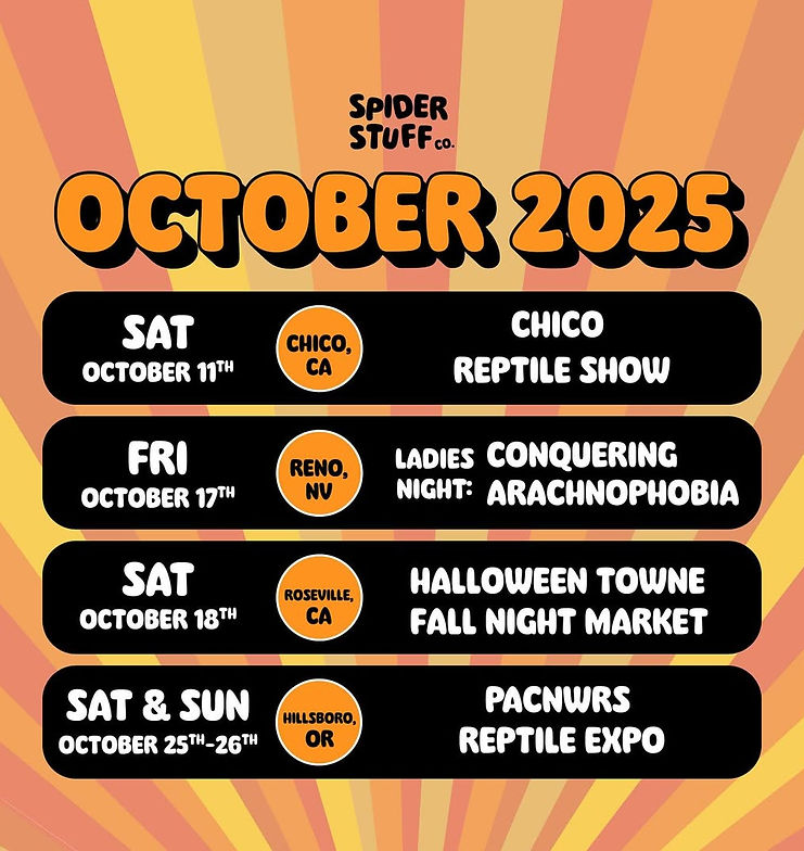 calendaroctober-spiderstuff.jpg