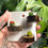 Thumbnail: Set of 3 small Spider Ledge
