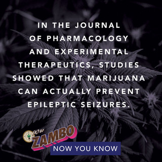 90 TO ZAMBO-weed-saying-weed-quote.jpeg