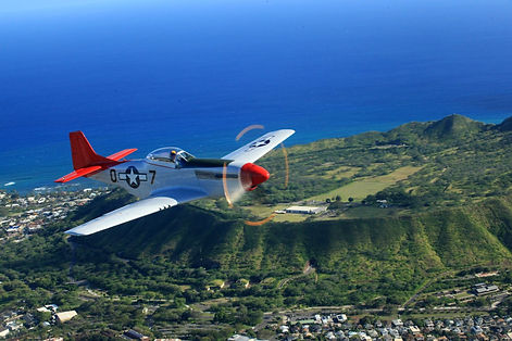 P51+inside+diamond+head.jpeg