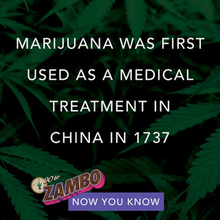 90 TO ZAMBO-weed-saying-weed-quote 38.jpeg