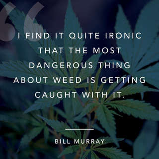 90 TO ZAMBO-weed-saying-weed-quote 37.jpeg