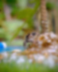 DSCF6393.JPG