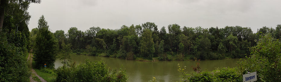 Panoramablick auf den Auensee