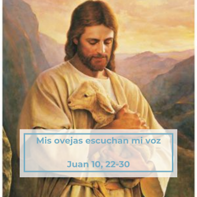 Mis ovejas escuchan mi voz Juan 10, 22-30
