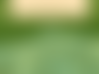 Llamados a una fe que confía Marcos 8, 14-21