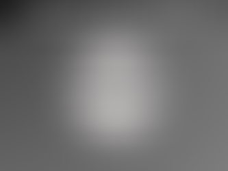 Checking in on the HoCH Crew's 2026 Brackets: 3/26/26