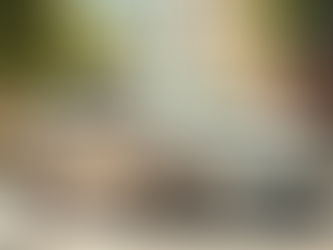 女用二手車推薦｜新手女生好停、好養又不貴的代步小車