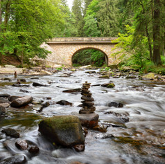 DSC_0509-02.jpeg