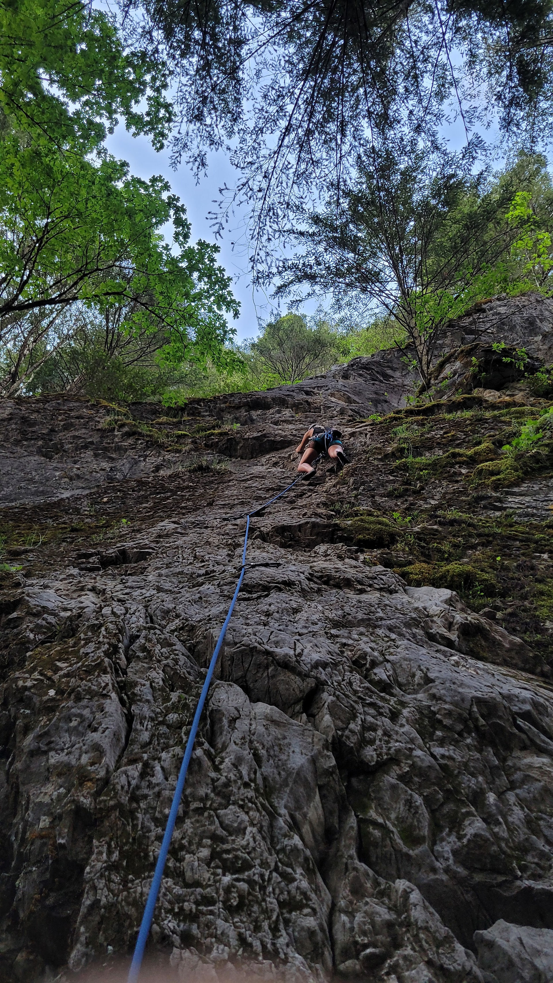Jas' first lead climb!