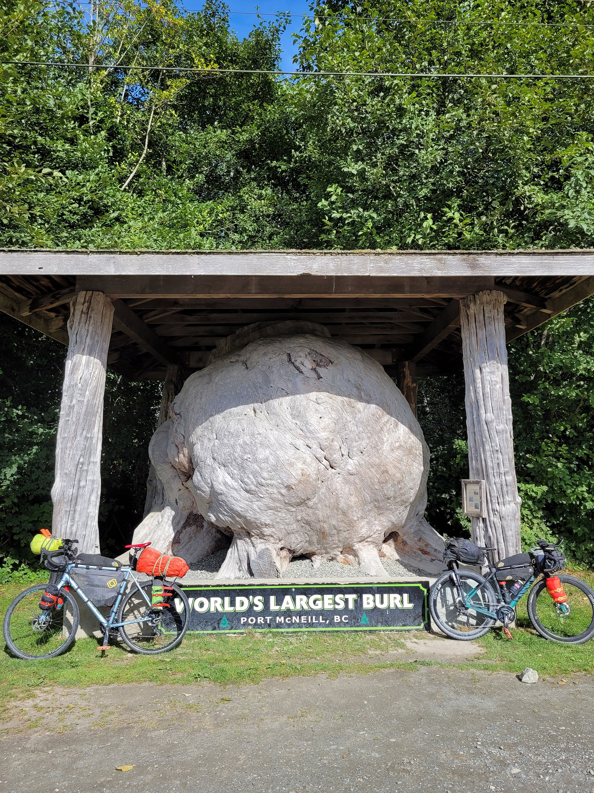 The other Largest Burl