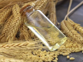 wheat germ oil, wheat oil, wheat kernel oil, wheat oil