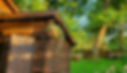 20220517_060749.jpg
