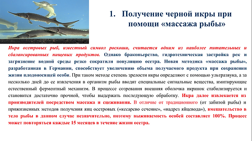 Снимок экрана (22).png