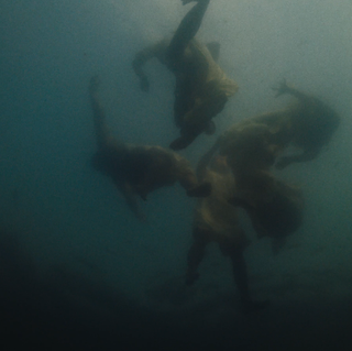 2021-11-20 11_19_21-OnlyWater_4k_V3_111721_youtube.mp4 - VLC media player.png