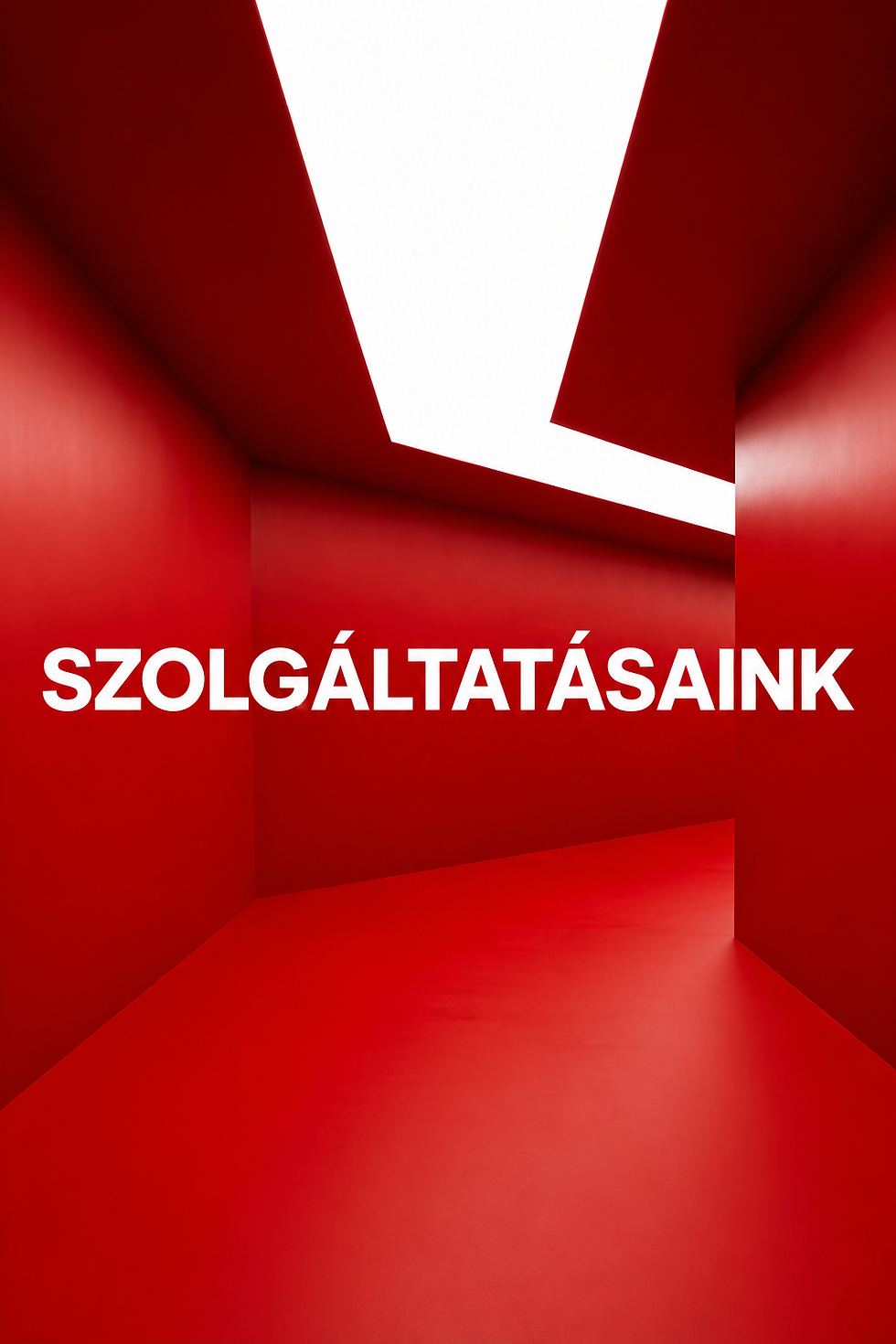szolgáltatásaink.png