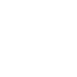 icon_apple.png