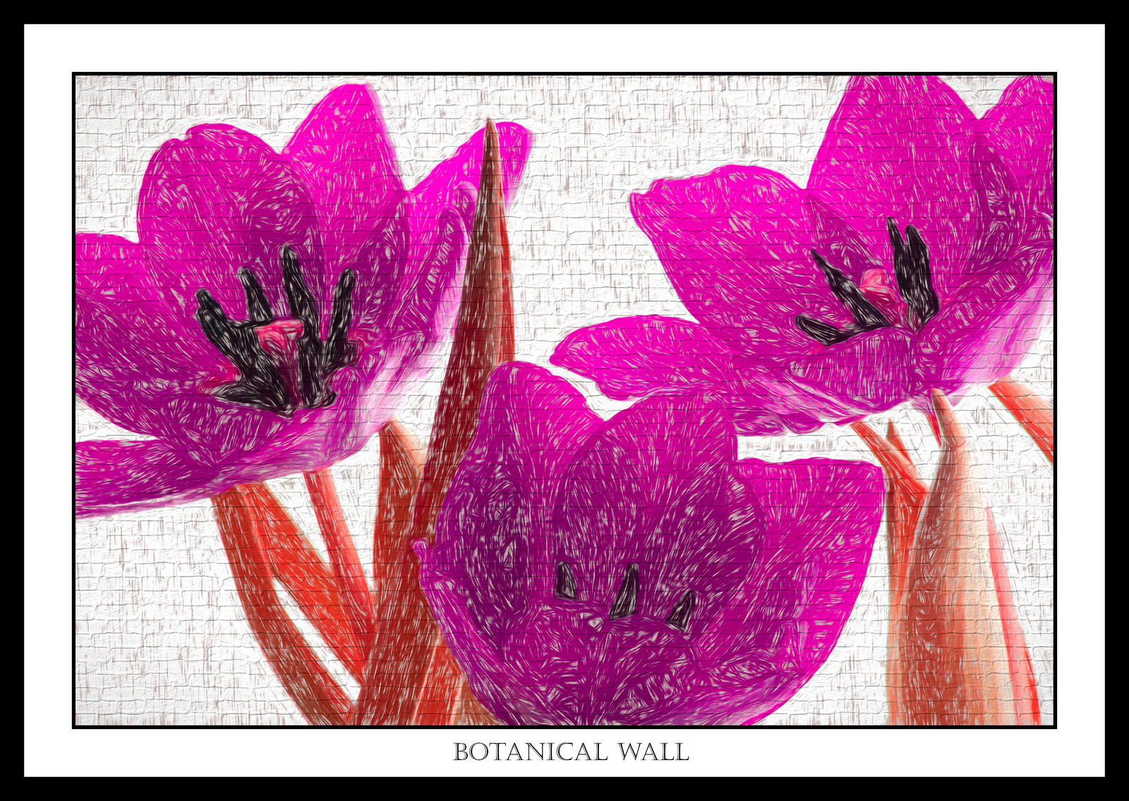 Botanical wall
