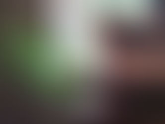 Notes from a Translator