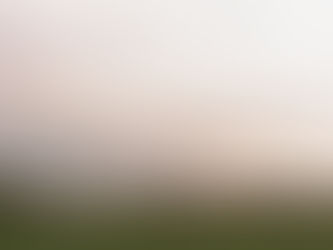 Mike's North Fork Moment of the Month