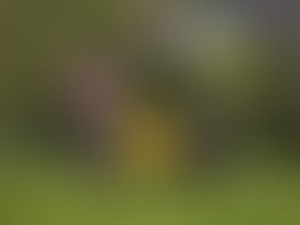 Mike's North Fork Moment of the Month