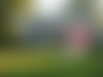 Understanding the Benefits of Cash Home Offers